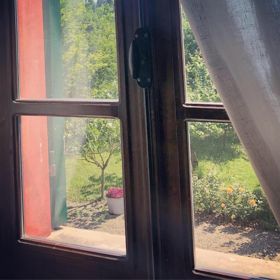 פארמה B&B Podere Merlo מראה חיצוני תמונה