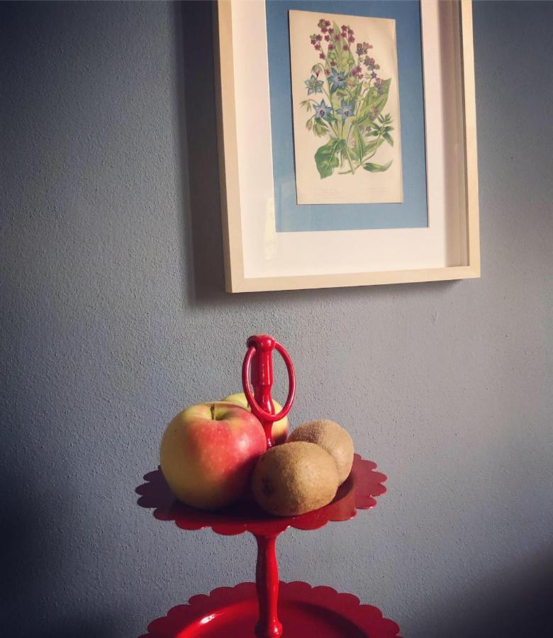 פארמה B&B Podere Merlo מראה חיצוני תמונה